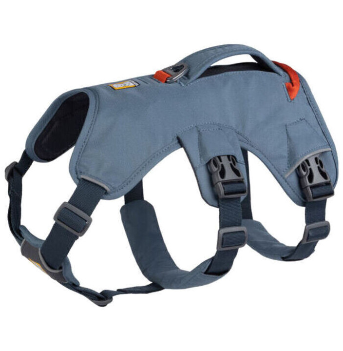 WEB MASTER HARNESS