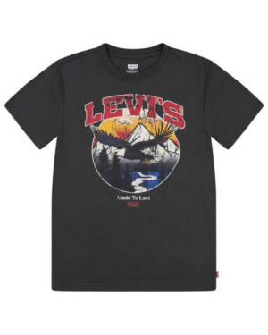 LVB SOAR LIKE AN EAGLE TEE