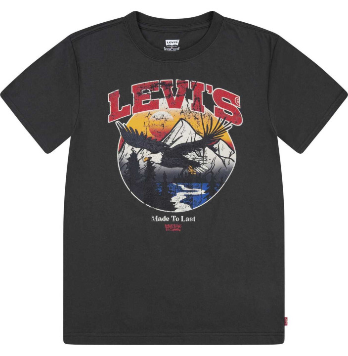 LVB SOAR LIKE AN EAGLE TEE