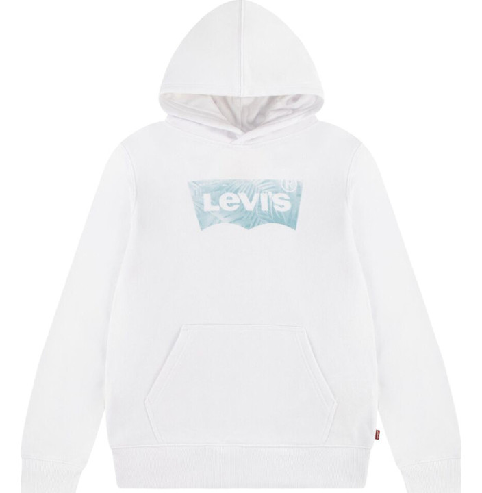 LVB PALM BATWING FILL HOODIE
