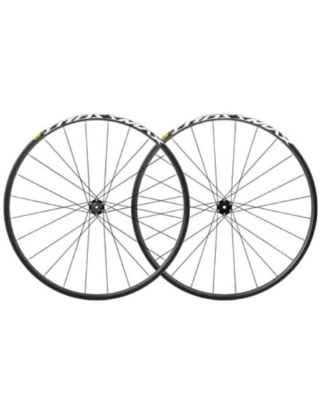 XMAX 29 PR XMAX 29 PR