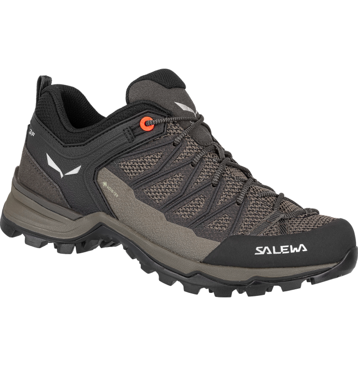 WS MTN TRAINER LITE GTX
