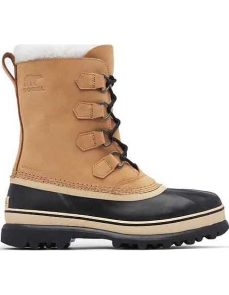 CARIBOU WP CARIBOU WP