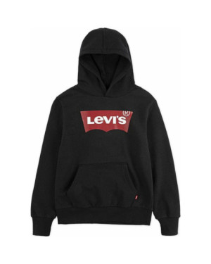 LVB-BATWING SCREENPRINT HOODIE