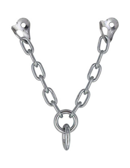 Reunón V Ecotri M10