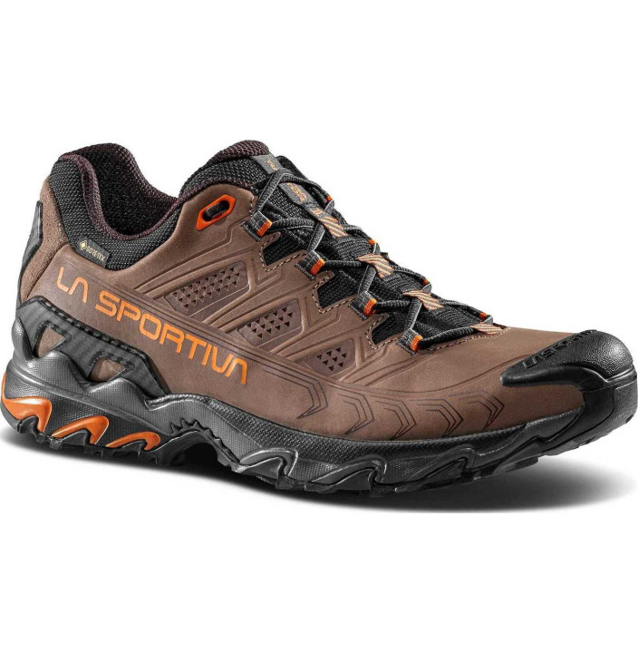 ULTRA RAPTOR II LEATHER GTX