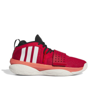 DAME 8 EXTPLY