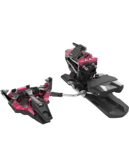 RADICAL BINDING RADICAL BINDING