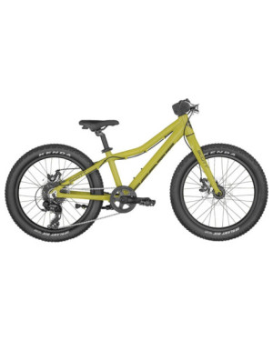 BICICLETA ROXTER 20 GREEN