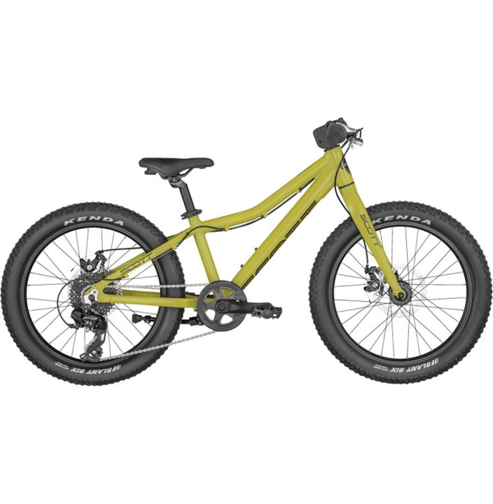BICICLETA ROXTER 20 GREEN