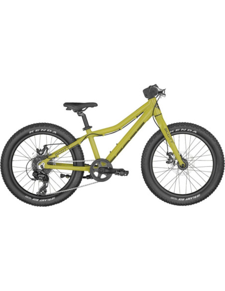 BICICLETA ROXTER 20 GREEN