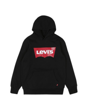 LVB-BATWING SCREENPRINT HOODIE