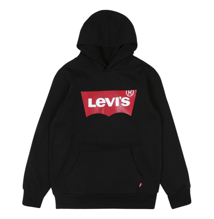 LVB-BATWING SCREENPRINT HOODIE