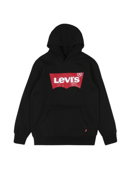 LVB-BATWING SCREENPRINT HOODIE