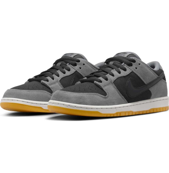 SB DUNK LOW PRO