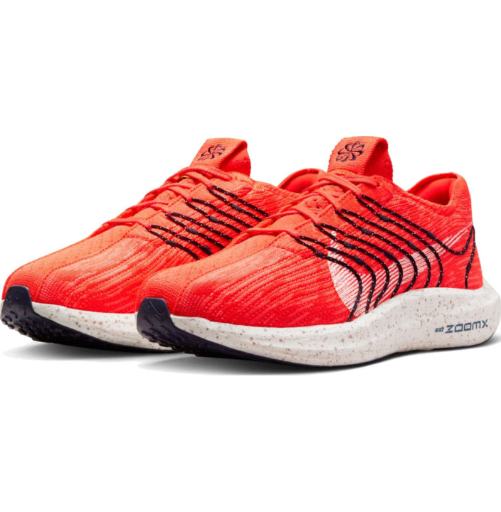 NIKE PEGASUS TURBO NEXT NATURE MEN'