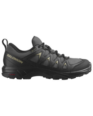 X BRAZE GTX