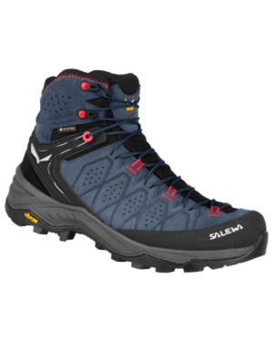 WS ALP TRAINER 2 MID GTX