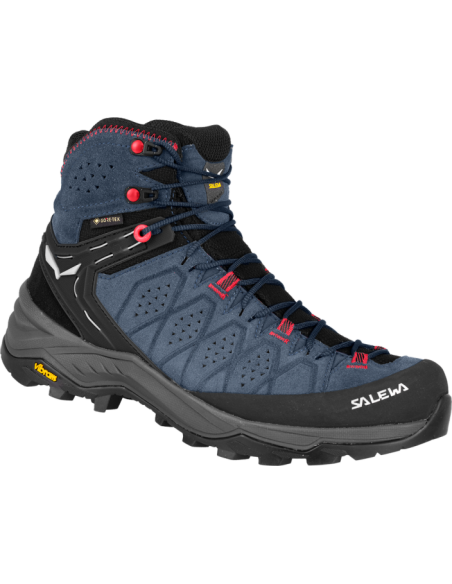 WS ALP TRAINER 2 MID GTX WS ALP TRAINER 2 MID GTX