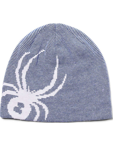REVERSIBLE BUG REVERSIBLE BUG