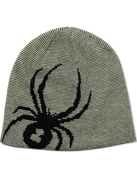 REVERSIBLE BUG REVERSIBLE BUG