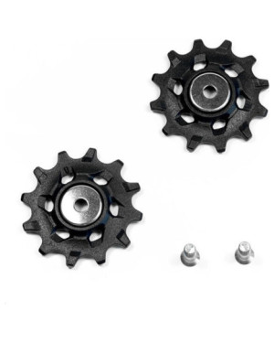 SRM REC ROLDANAS CAMBIO NX APEX1