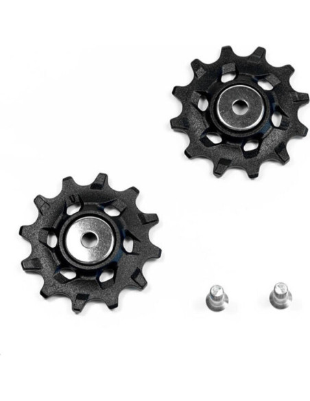 SRM REC ROLDANAS CAMBIO NX APEX1