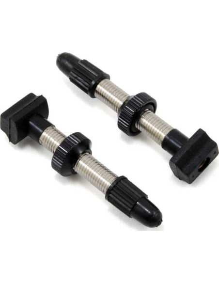 VALVE FOR TUBELESS TIRE