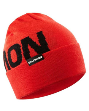 HERMITAGE BEANIE