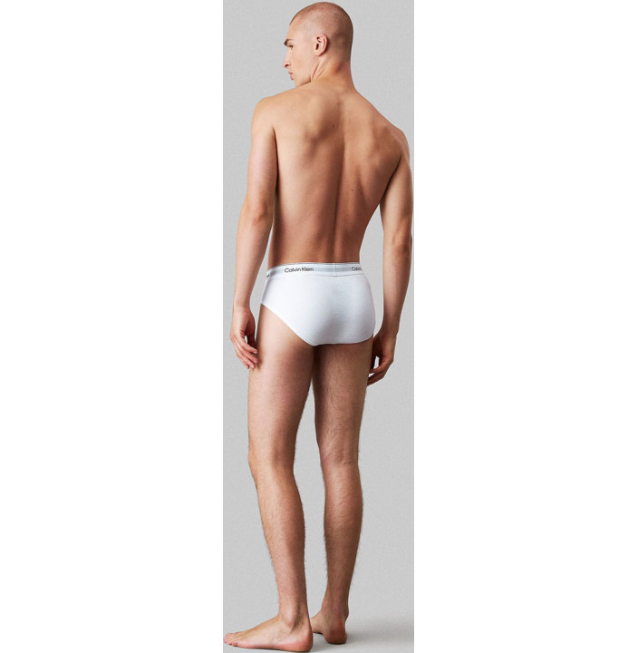 HIP BRIEF 3PK
