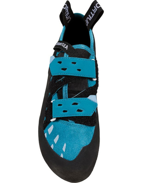 Tarantula Woman Tarantula Woman