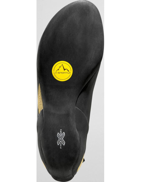 Tarantula Woman Tarantula Woman