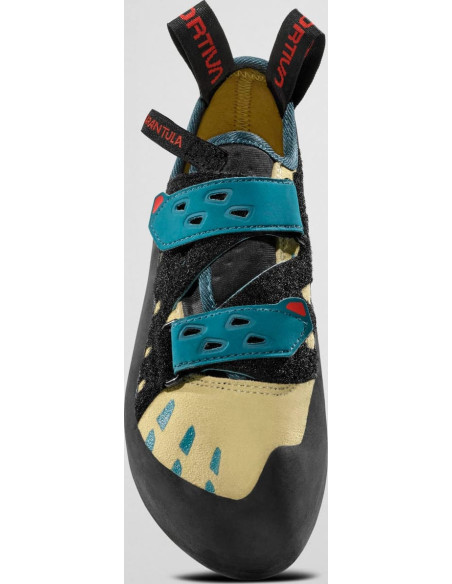 Tarantula Woman Tarantula Woman