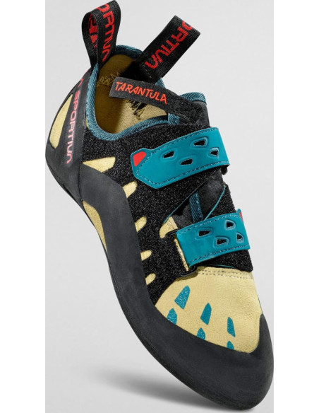 Tarantula Woman Tarantula Woman