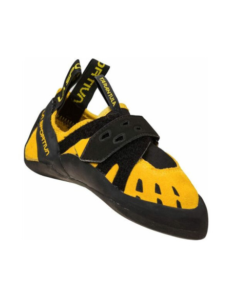 TARANTULA JR TARANTULA JR