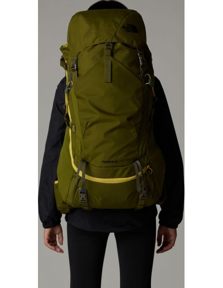 Y TERRA 50 Y TERRA 50