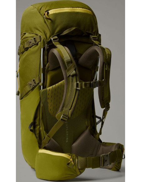 Y TERRA 50 Y TERRA 50