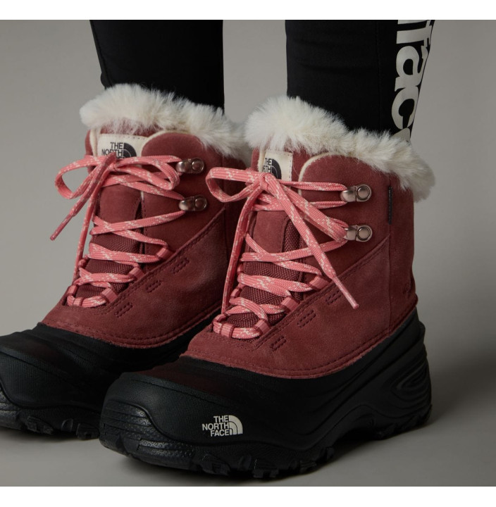 Y SHELLISTA V LACE WP