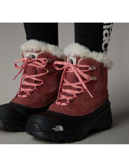 Y SHELLISTA V LACE WP