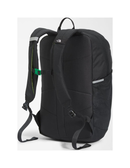 Y COURT JESTER Y COURT JESTER