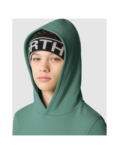 B DREW PEAK P O HOODIE