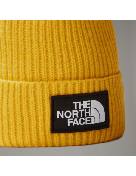 TNF LOGO BOX CUFFED BEANIE