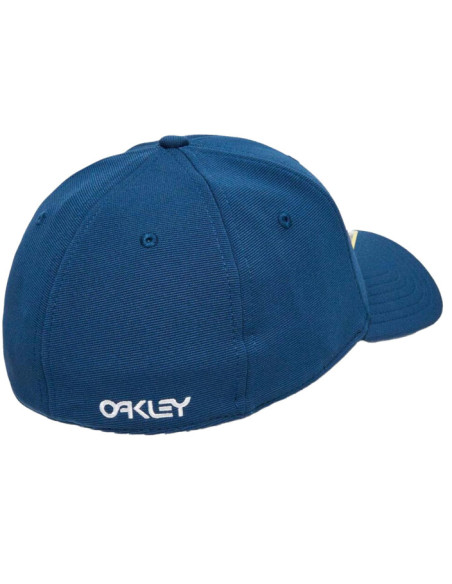 6 PANEL STRETCH METALLIC HAT