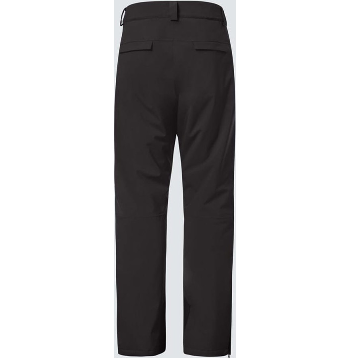AXIS INSULATED PANT