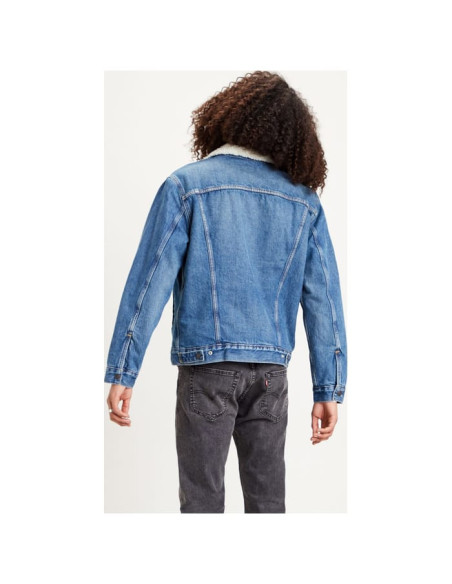 TYPE 3 SHERPA TRUCKER FABLE SHERPA TRUCK