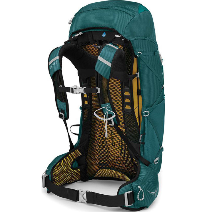 EJA 38 W
