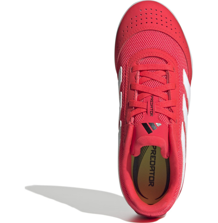 PREDATOR CLUB IN SALA J