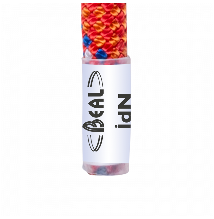 8MM RANDO
