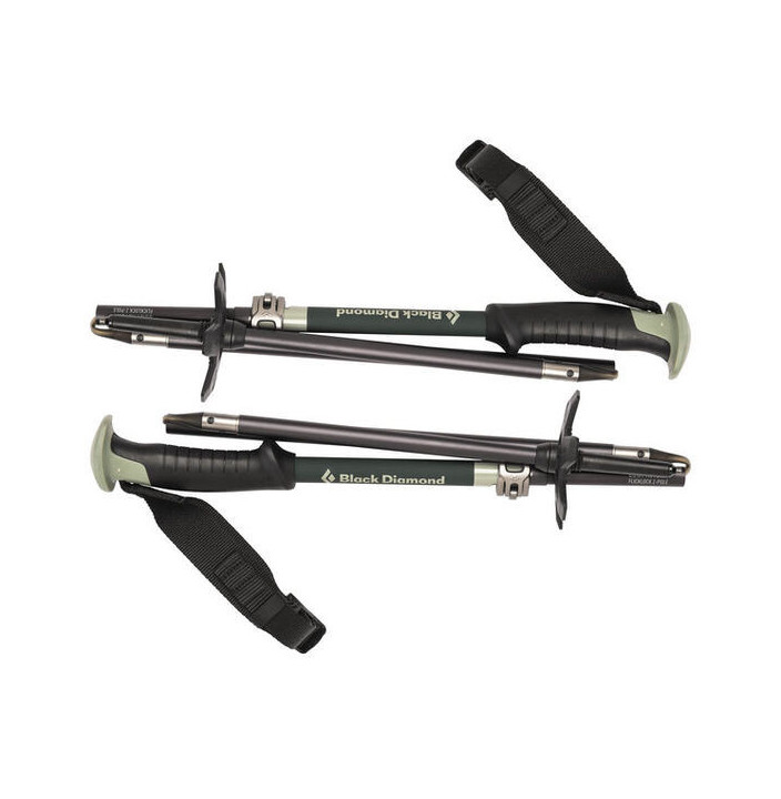 COMPACTOR SKI POLES