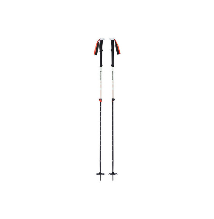 EXPEDITION 2 SKI POLES